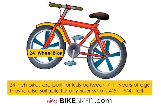 24 inch bike for what size person?