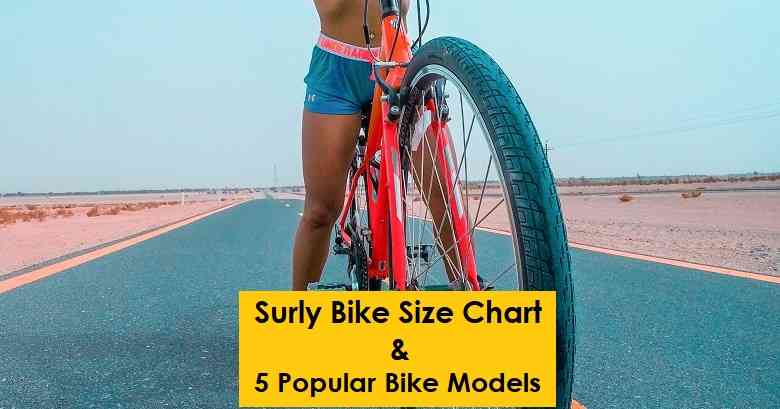 Surly Bikes Size Chart & 5 Popular Bike Models