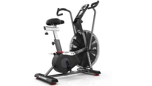 Schwinn Airdyne AD7