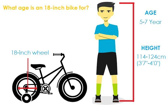 18 inch bike age and height