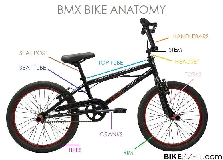 BMX Bike Sizing & Anatomy