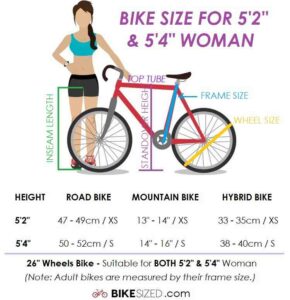 19.5 bike frame height