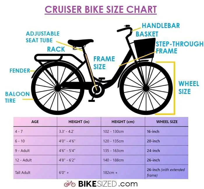 Beach Cruiser Bike Size Chart By Height
