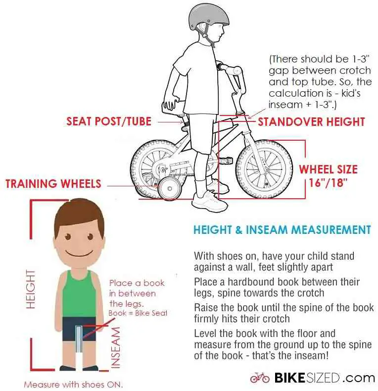 Bicycle sizing guide for 5 year old