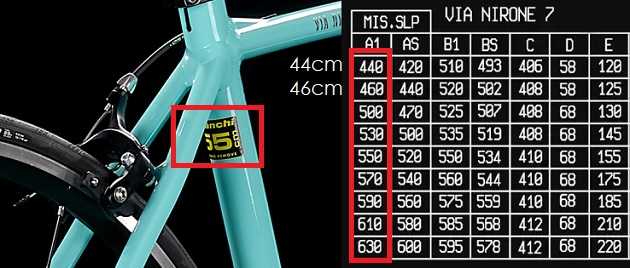 Where is Bianchi bike frame size number?