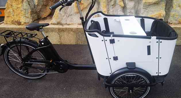 Cargo trike