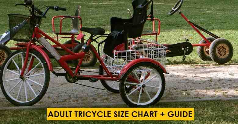 Adult Size Tricycle: What Size Do I Need? Chart + Guide